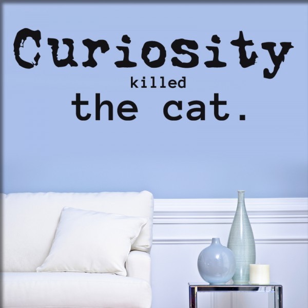 Wandtattoo Curiosity